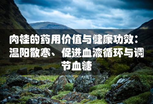 肉桂的药用价值与健康功效：温阳散寒、促进血液循环与调节血糖