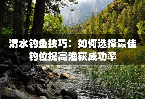 清水钓鱼技巧：如何选择最佳钓位提高渔获成功率