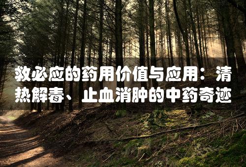 救必应的药用价值与应用：清热解毒、止血消肿的中药奇迹