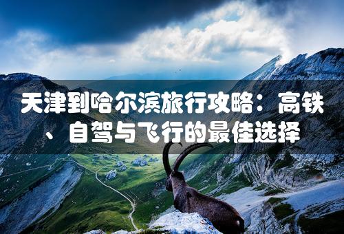 天津到哈尔滨旅行攻略：高铁、自驾与飞行的最佳选择