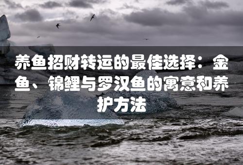 养鱼招财转运的最佳选择：金鱼、锦鲤与罗汉鱼的寓意和养护方法