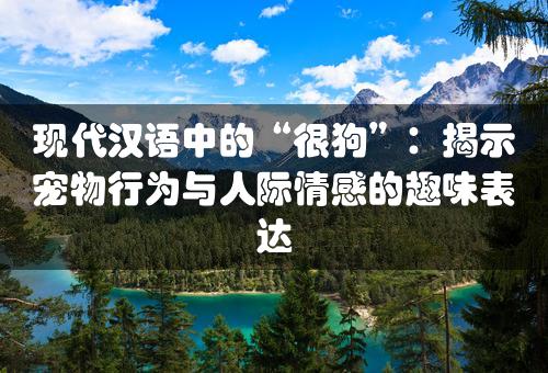 现代汉语中的“很狗”：揭示宠物行为与人际情感的趣味表达