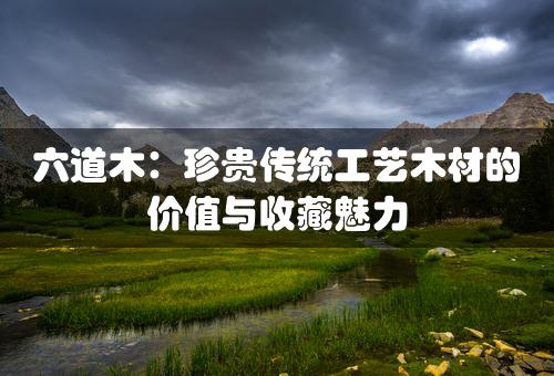 六道木：珍贵传统工艺木材的价值与收藏魅力