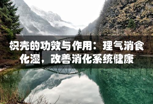 枳壳的功效与作用：理气消食化湿，改善消化系统健康