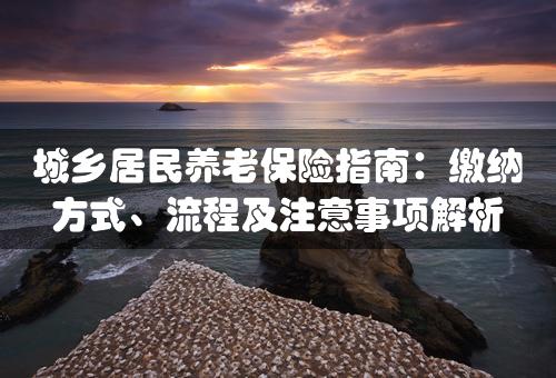 城乡居民养老保险指南：缴纳方式、流程及注意事项解析