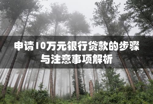 申请10万元银行贷款的步骤与注意事项解析