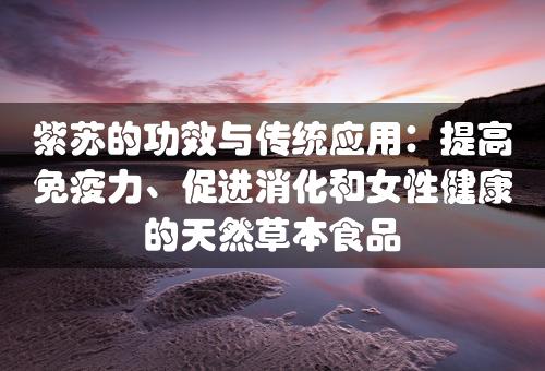 紫苏的功效与传统应用：提高免疫力、促进消化和女性健康的天然草本食品