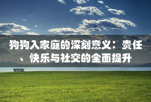 狗狗入家庭的深刻意义：责任、快乐与社交的全面提升