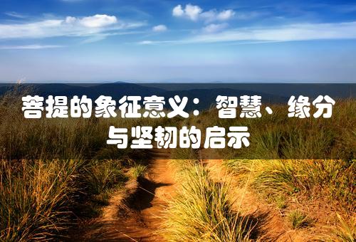 菩提的象征意义：智慧、缘分与坚韧的启示