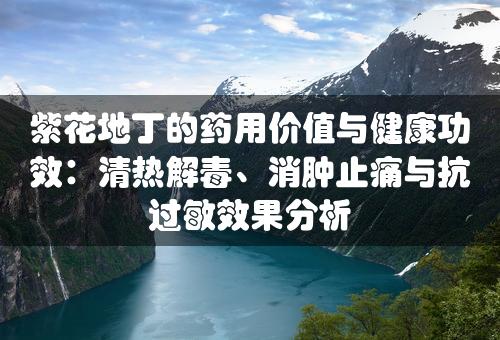 紫花地丁的药用价值与健康功效：清热解毒、消肿止痛与抗过敏效果分析