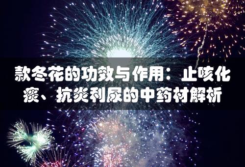 款冬花的功效与作用：止咳化痰、抗炎利尿的中药材解析