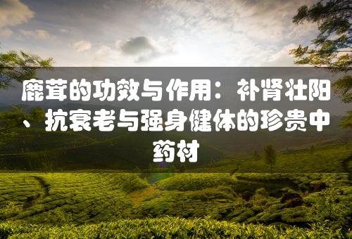 鹿茸的功效与作用：补肾壮阳、抗衰老与强身健体的珍贵中药材