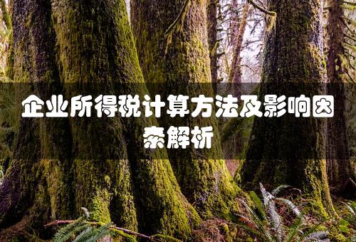 企业所得税计算方法及影响因素解析