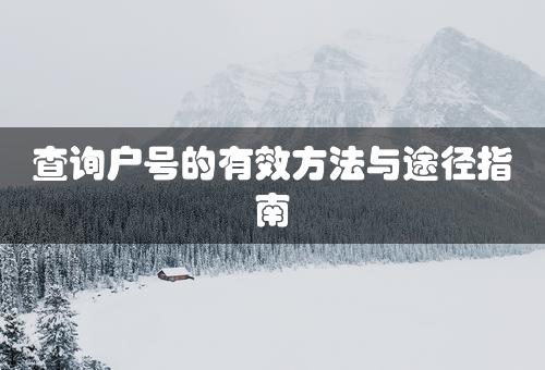 查询户号的有效方法与途径指南