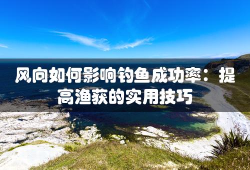 风向如何影响钓鱼成功率：提高渔获的实用技巧