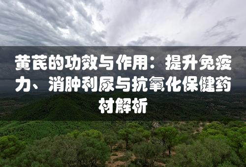 黄芪的功效与作用：提升免疫力、消肿利尿与抗氧化保健药材解析