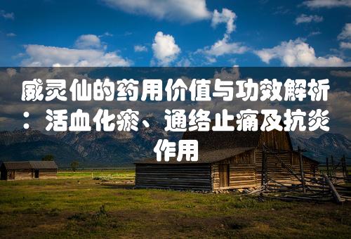 威灵仙的药用价值与功效解析：活血化瘀、通络止痛及抗炎作用