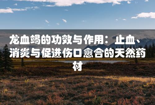 龙血竭的功效与作用：止血、消炎与促进伤口愈合的天然药材