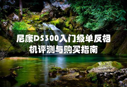 尼康D5300入门级单反相机评测与购买指南