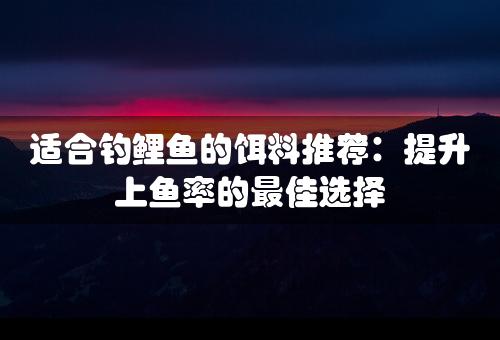 适合钓鲤鱼的饵料推荐：提升上鱼率的最佳选择