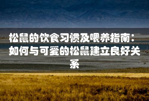 松鼠的饮食习惯及喂养指南：如何与可爱的松鼠建立良好关系