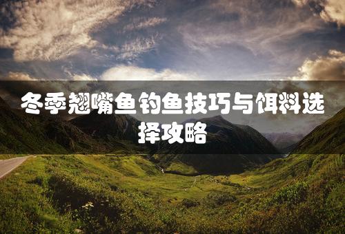 冬季翘嘴鱼钓鱼技巧与饵料选择攻略