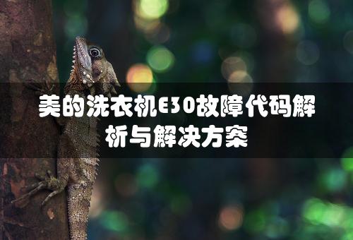 美的洗衣机E30故障代码解析与解决方案