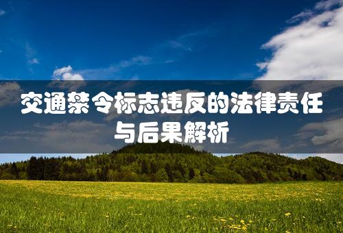 交通禁令标志违反的法律责任与后果解析