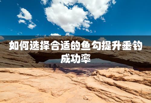 如何选择合适的鱼勾提升垂钓成功率