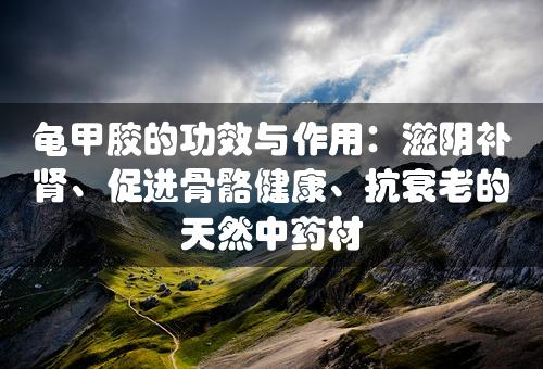 龟甲胶的功效与作用：滋阴补肾、促进骨骼健康、抗衰老的天然中药材