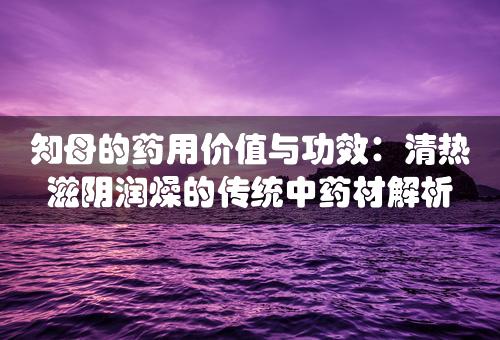 知母的药用价值与功效：清热滋阴润燥的传统中药材解析