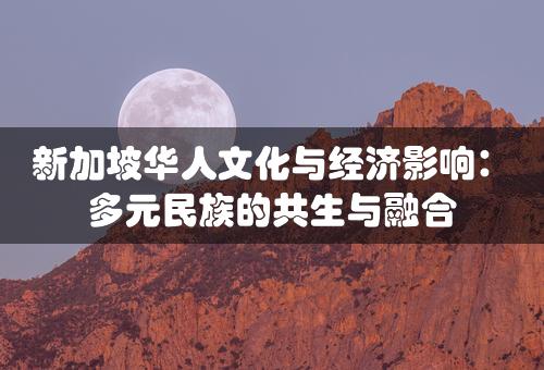 新加坡华人文化与经济影响：多元民族的共生与融合