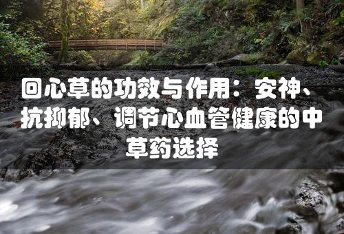 回心草的功效与作用：安神、抗抑郁、调节心血管健康的中草药选择