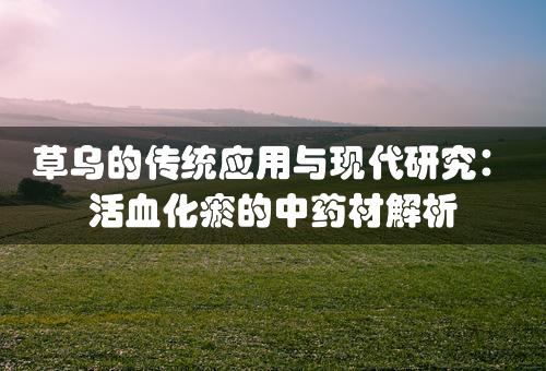 草乌的传统应用与现代研究：活血化瘀的中药材解析