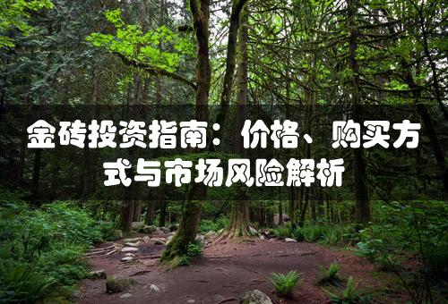 金砖投资指南：价格、购买方式与市场风险解析