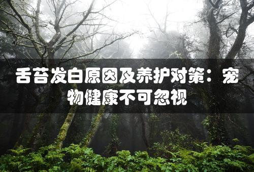 舌苔发白原因及养护对策：宠物健康不可忽视