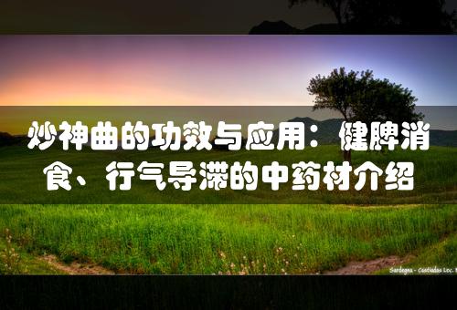 炒神曲的功效与应用：健脾消食、行气导滞的中药材介绍