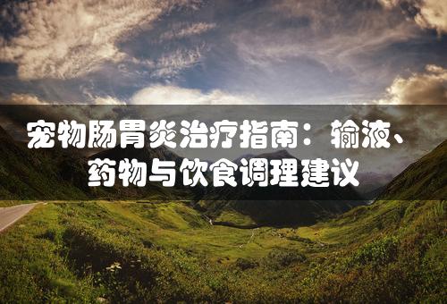 宠物肠胃炎治疗指南：输液、药物与饮食调理建议