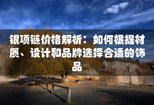 银项链价格解析：如何根据材质、设计和品牌选择合适的饰品