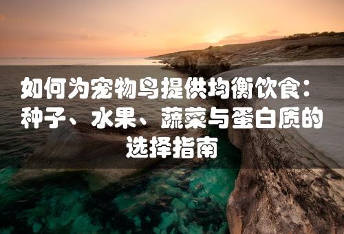 如何为宠物鸟提供均衡饮食：种子、水果、蔬菜与蛋白质的选择指南