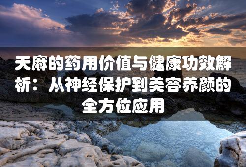 天麻的药用价值与健康功效解析：从神经保护到美容养颜的全方位应用