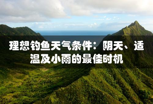 理想钓鱼天气条件：阴天、适温及小雨的最佳时机