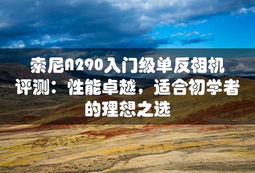 索尼A290入门级单反相机评测：性能卓越，适合初学者的理想之选