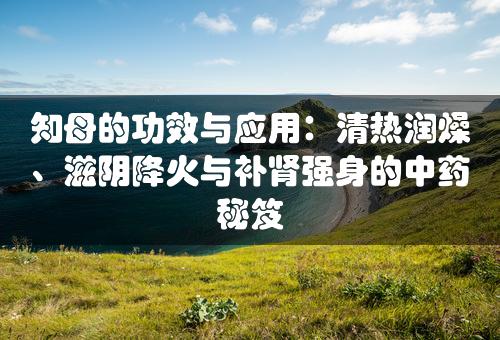 知母的功效与应用：清热润燥、滋阴降火与补肾强身的中药秘笈