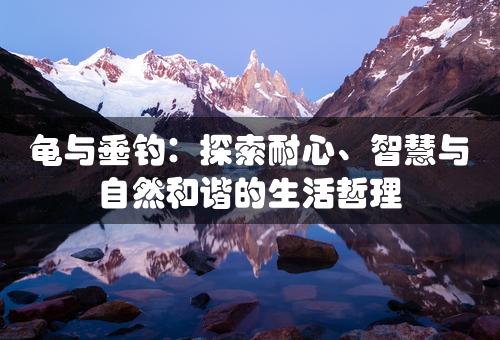 龟与垂钓：探索耐心、智慧与自然和谐的生活哲理