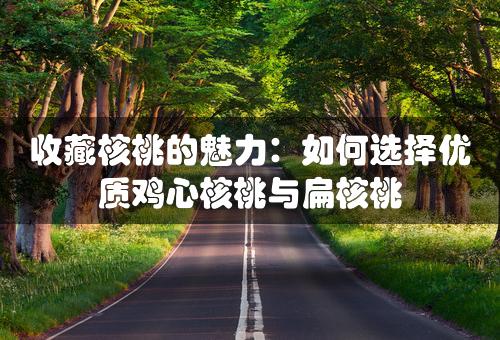 收藏核桃的魅力：如何选择优质鸡心核桃与扁核桃