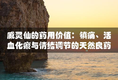 威灵仙的药用价值：镇痛、活血化瘀与情绪调节的天然良药