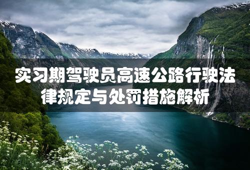 实习期驾驶员高速公路行驶法律规定与处罚措施解析