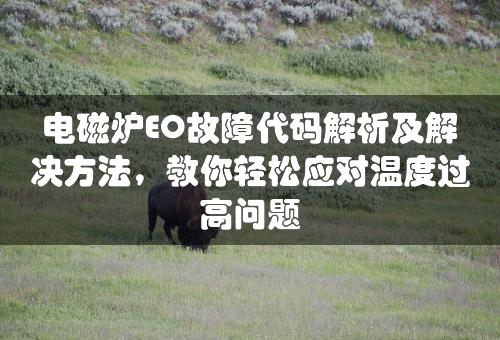 电磁炉EO故障代码解析及解决方法，教你轻松应对温度过高问题