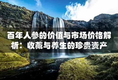 百年人参的价值与市场价格解析：收藏与养生的珍贵资产